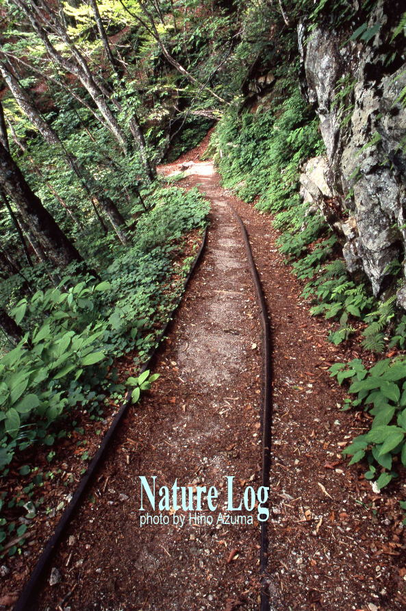 山岳記9【森林軌道・森林鉄道跡】